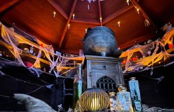 469119792 18029825819580711 386229506216102378 n