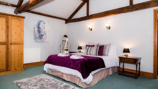 Apt 3 King Room comp 1305493506
