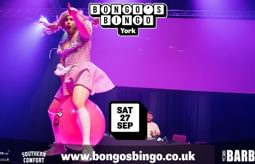 Bongos Bingo 2200x875 2