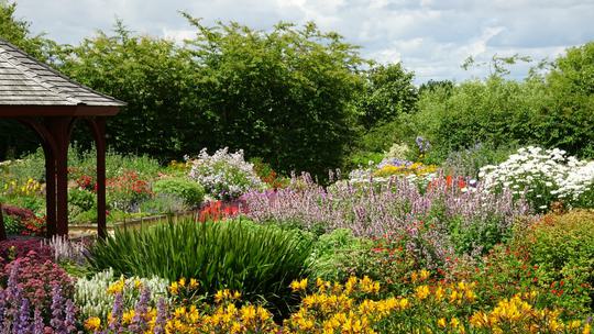 Breezy Knees Gardens floral 1776677617