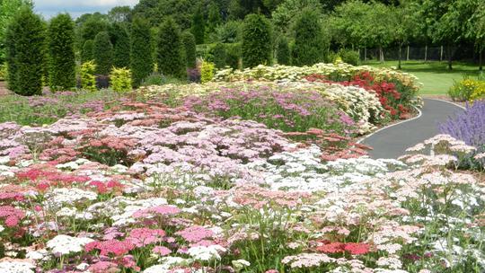 Breezy Knees Gardens landscape 1815559851