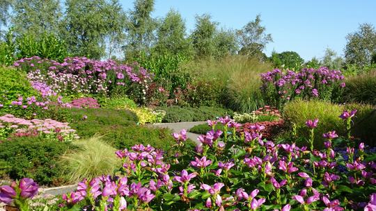 Breezy Knees Gardens pink 1728601321