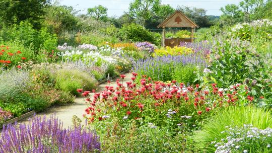 Breezy Knees Gardens summer 1314495853