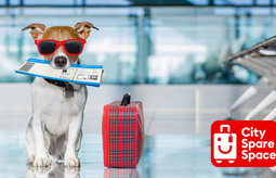 City Spare Space Visit York