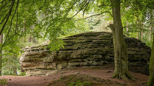 Dalby Forest Adder Stone
