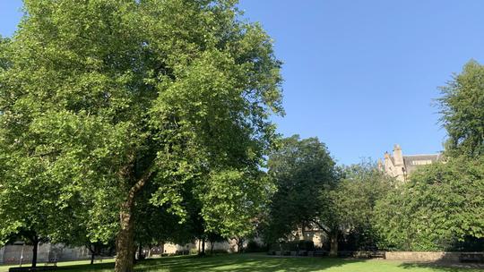 Deans Park 599016416