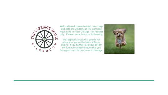 Dogs Welcome Feb 2024