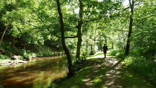 Esk Valley Walk River Esk near Glaisdale Credit 1738788674