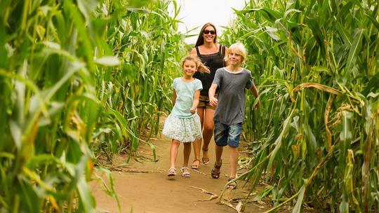 Family in Maze hi 1516019397