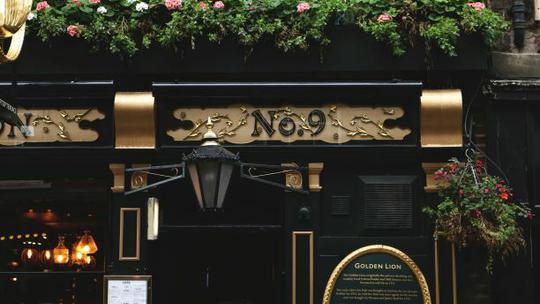 Golden Lion