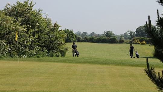 Golf Course and Golfers 573248904