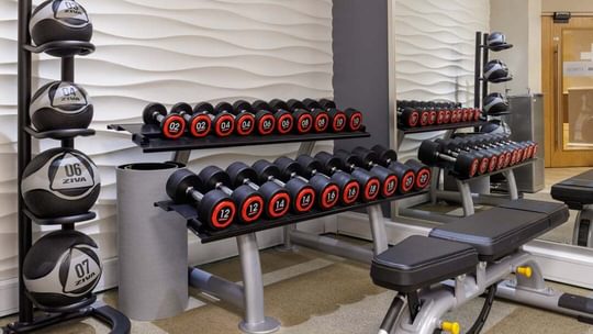 Gym 1