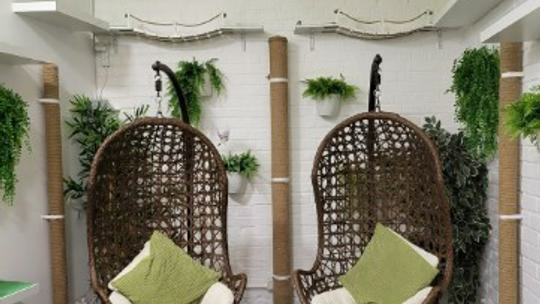 The Garden Room