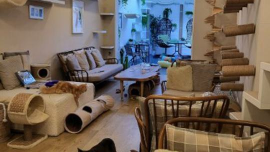 Ground floor seating