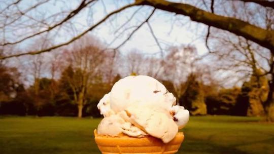 Ice cream in the park