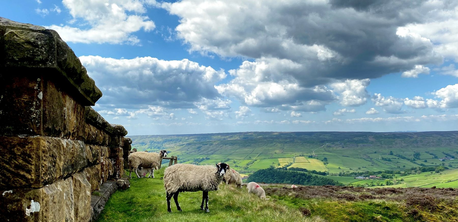 Visit York Accessible Adventures In The North York Moors National visit-york-accessible-adventures-in-the-north-york-moors-national