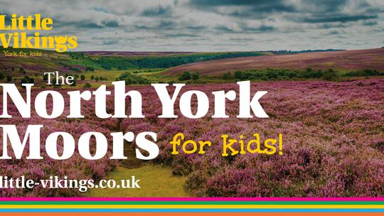 North York Moors for Kids
