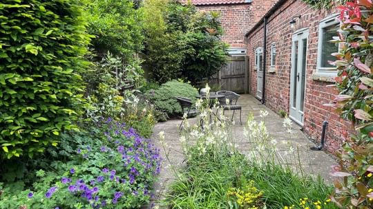 Patio 1