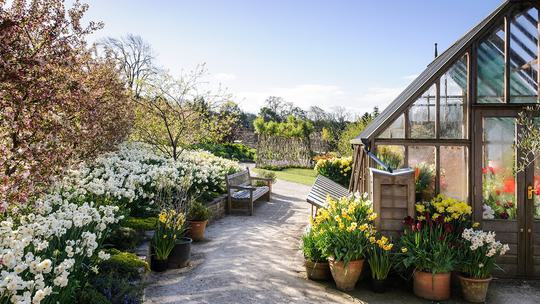 Press JI 250417 RHS Harlow Carr 065 1115307442