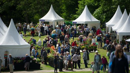 RHS Harlow Carr Flower Show 2017 2 934471460