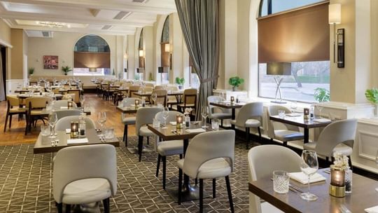 Restaurant Dinner 1