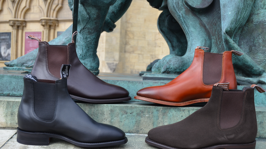 Williams shoes castle 2024 towers