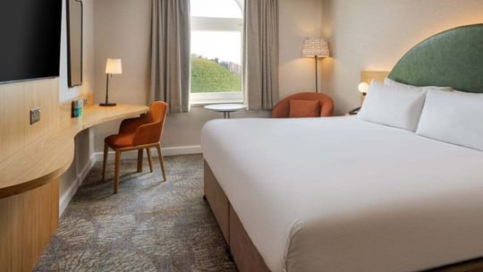 Room 205 King Guest Room 1