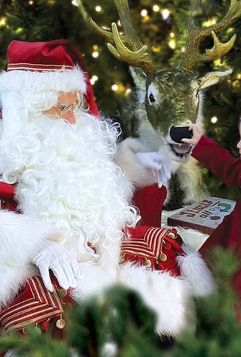 Santa Image