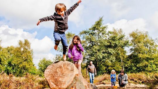 Sutton Bank National Park Centre 12 Natural adventure play area Credit Chris J Parker NYMNPA 949363690