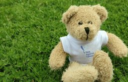 Teddy logo
