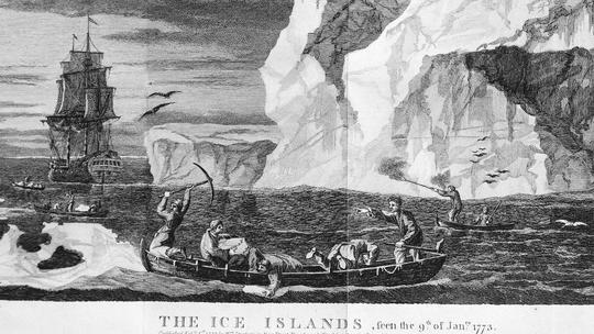 The Ice Islands 17731