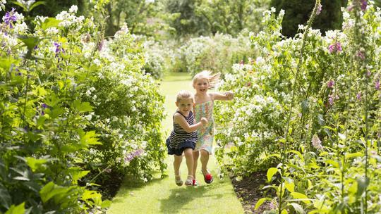 The floral borders in Castle Howard s Walled Garden Andy Bulmer 423127591