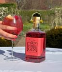 York Gin in garden resize