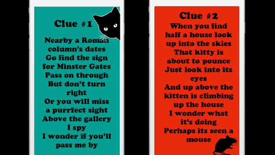 Catclues visual 1783938316