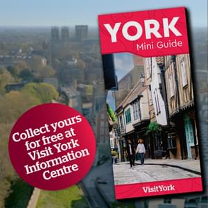 Mini Guide Mini Guide