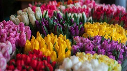 Florists