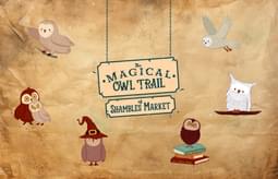 Owl Trial Home Page Banner